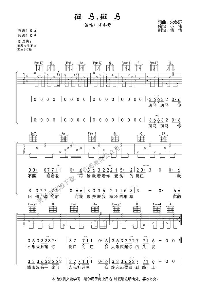 斑马斑马吉他谱1-宋冬野-C调指法