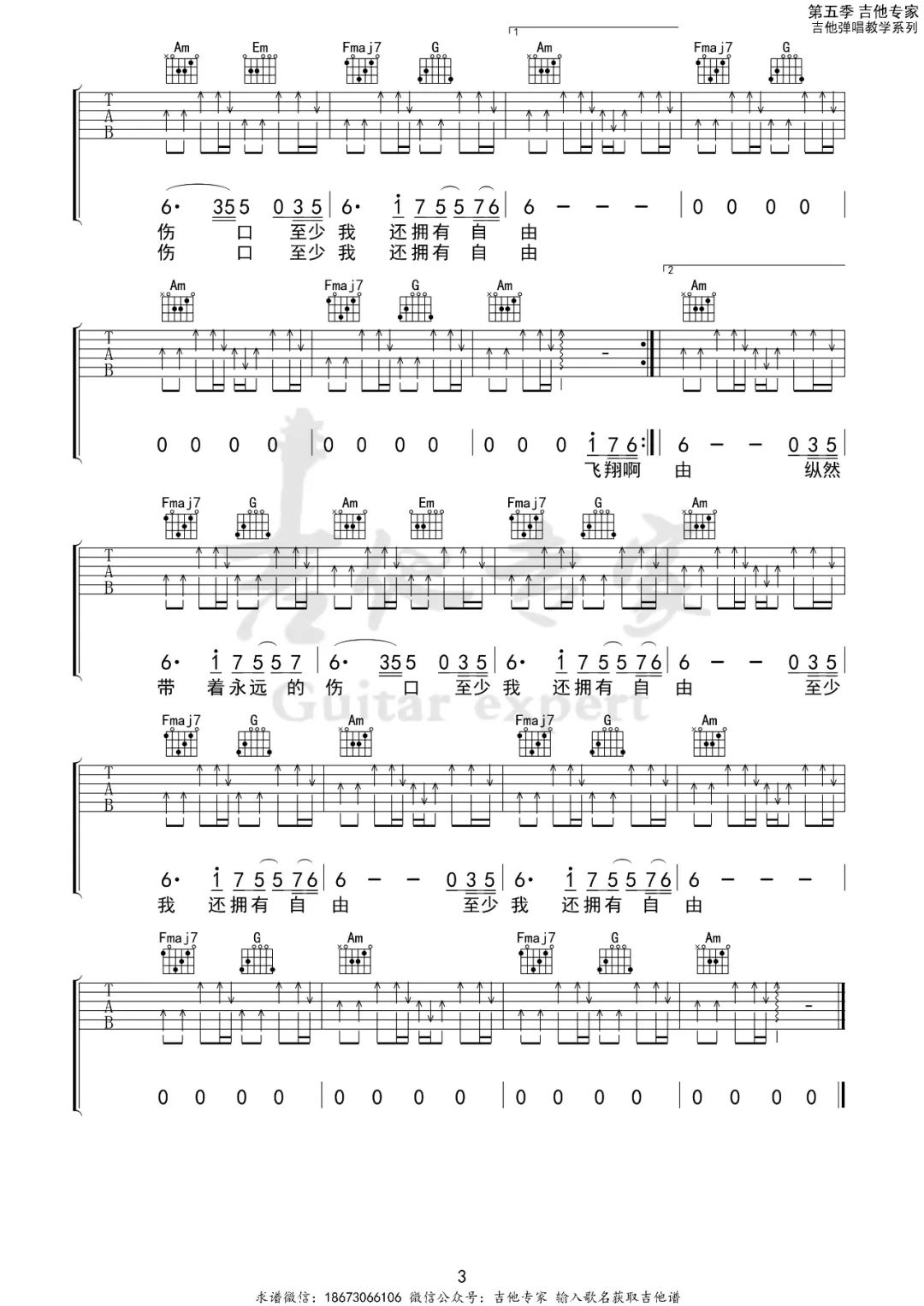 白鸽吉他谱3-伍佰-C调指法